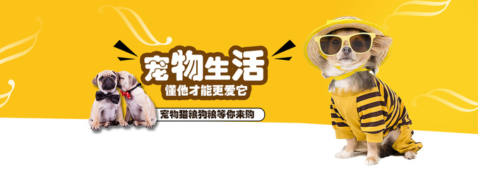 新门内部资枓免费大全